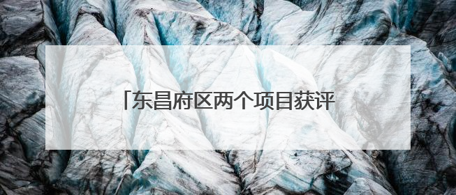 东昌府区两个项目获评“聊城市2024年度法治为民实事”项目