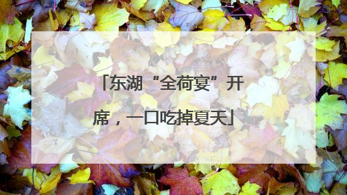 东湖“全荷宴”开席，一口吃掉夏天