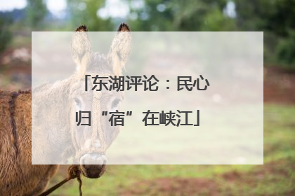 东湖评论：民心归“宿”在峡江