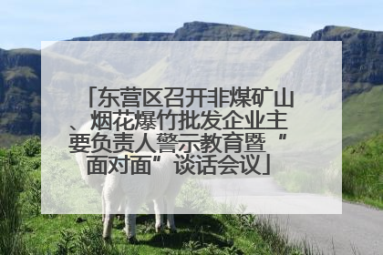 东营区召开非煤矿山、烟花爆竹批发企业主要负责人警示教育暨“面对面”谈话会议