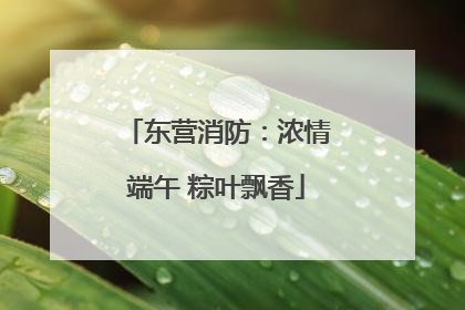 东营消防：浓情端午 粽叶飘香