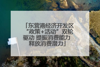 东营港经济开发区“政策+活动”双轮驱动 提振消费能力 释放消费潜力
