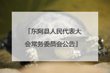 东阿县人民代表大会常务委员会公告