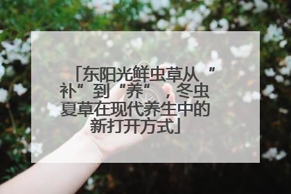 东阳光鲜虫草从“补”到“养”，冬虫夏草在现代养生中的新打开方式