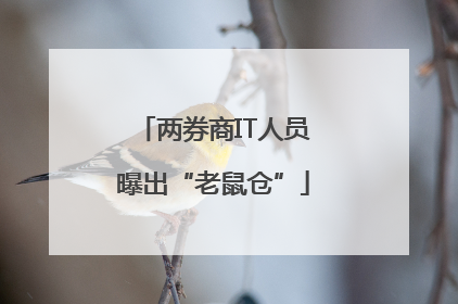 两券商IT人员曝出“老鼠仓”