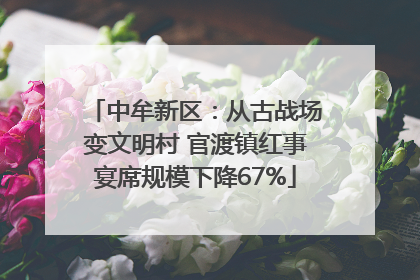 中牟新区：从古战场变文明村 官渡镇红事宴席规模下降67%