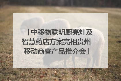 中移物联明厨亮灶及智慧药店方案亮相贵州移动商客产品推介会