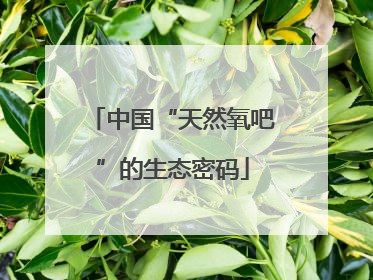 中国“天然氧吧”的生态密码