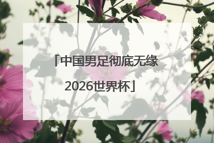 中国男足彻底无缘2026世界杯