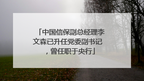 中国信保副总经理李文森已升任党委副书记，曾任职于央行