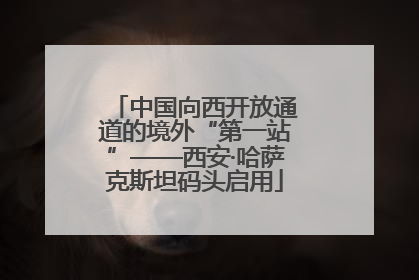 中国向西开放通道的境外“第一站”——西安·哈萨克斯坦码头启用