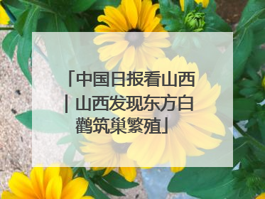中国日报看山西｜山西发现东方白鹳筑巢繁殖