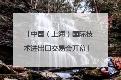 中国（上海）国际技术进出口交易会开幕
