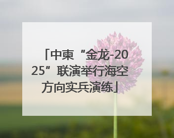 中柬“金龙-2025”联演举行海空方向实兵演练