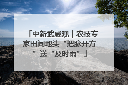 中新武威观｜农技专家田间地头“把脉开方”送“及时雨”