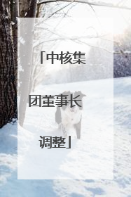 中核集团董事长调整