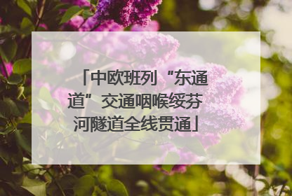 中欧班列“东通道”交通咽喉绥芬河隧道全线贯通