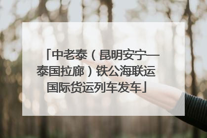 中老泰（昆明安宁—泰国拉廊）铁公海联运国际货运列车发车