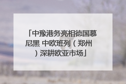 中豫港务亮相德国慕尼黑 中欧班列（郑州）深耕欧亚市场