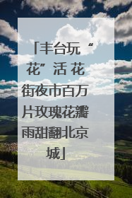 丰台玩“花”活 花街夜市百万片玫瑰花瓣雨甜翻北京城