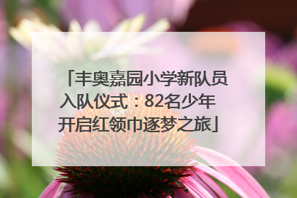 丰奥嘉园小学新队员入队仪式：82名少年开启红领巾逐梦之旅