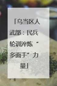 乌当区人武部：民兵轮训淬炼“多面手”力量