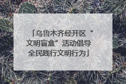 乌鲁木齐经开区“文明盲盒”活动倡导全民践行文明行为