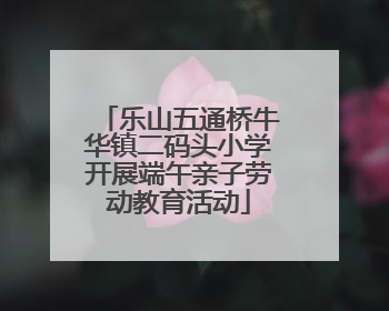 乐山五通桥牛华镇二码头小学开展端午亲子劳动教育活动