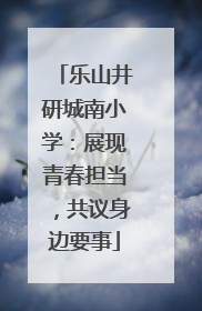 乐山井研城南小学：展现青春担当，共议身边要事
