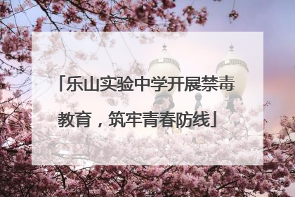 乐山实验中学开展禁毒教育，筑牢青春防线