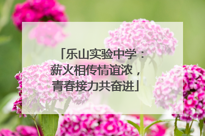 乐山实验中学：薪火相传情谊浓，青春接力共奋进