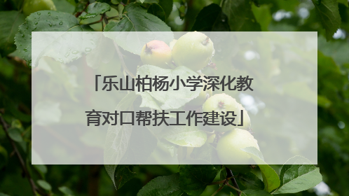 乐山柏杨小学深化教育对口帮扶工作建设