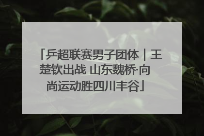 乒超联赛男子团体｜王楚钦出战 山东魏桥·向尚运动胜四川丰谷