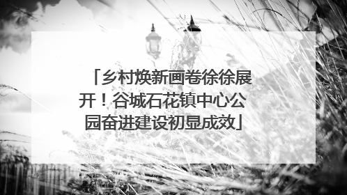 乡村焕新画卷徐徐展开！谷城石花镇中心公园奋进建设初显成效