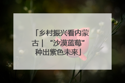 乡村振兴看内蒙古｜“沙漠蓝莓”种出紫色未来