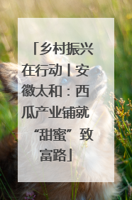 乡村振兴在行动丨安徽太和：西瓜产业铺就“甜蜜”致富路