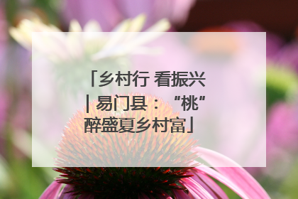 乡村行 看振兴｜易门县：“桃”醉盛夏乡村富