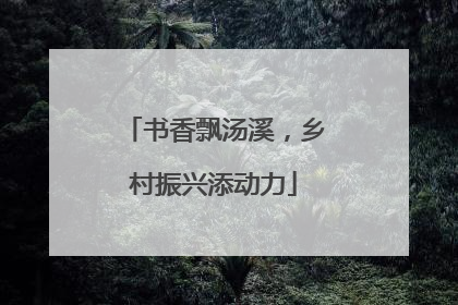 书香飘汤溪，乡村振兴添动力