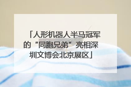 人形机器人半马冠军的“同胞兄弟”亮相深圳文博会北京展区