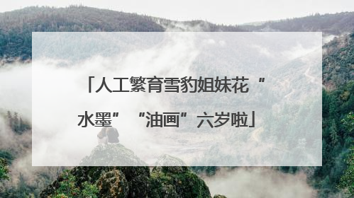 人工繁育雪豹姐妹花“水墨”“油画”六岁啦