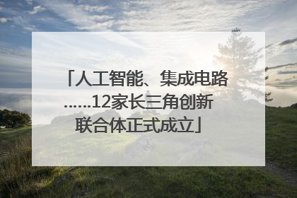 人工智能、集成电路……12家长三角创新联合体正式成立