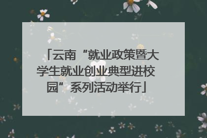 云南“就业政策暨大学生就业创业典型进校园”系列活动举行