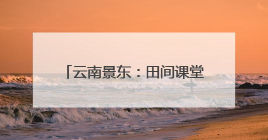 云南景东：田间课堂绘就劳动育人新画卷