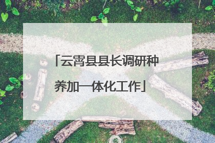 云霄县县长调研种养加一体化工作