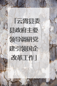 云霄县委县政府主要领导调研党建引领国企改革工作