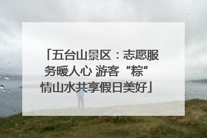 五台山景区：志愿服务暖人心 游客“粽”情山水共享假日美好