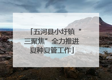 五河县小圩镇“三聚焦”全力推进夏种夏管工作