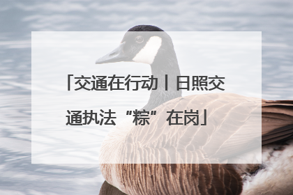 交通在行动丨日照交通执法“粽”在岗