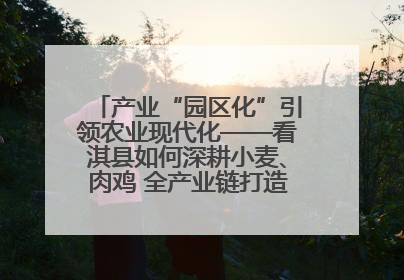 产业“园区化”引领农业现代化——看淇县如何深耕小麦、肉鸡 全产业链打造现代农业产业园
