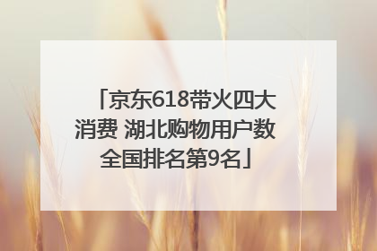 京东618带火四大消费 湖北购物用户数全国排名第9名